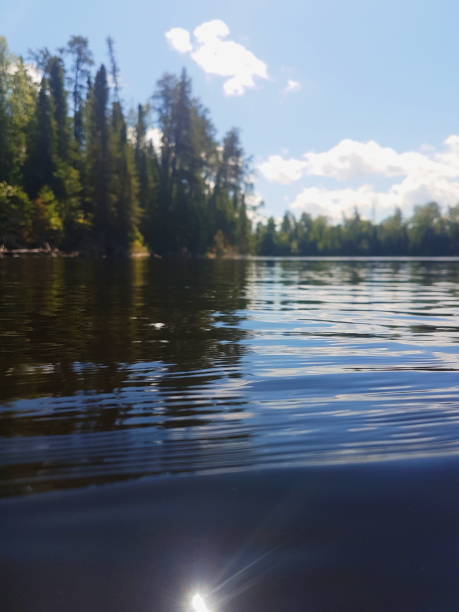 Lake of the Woods