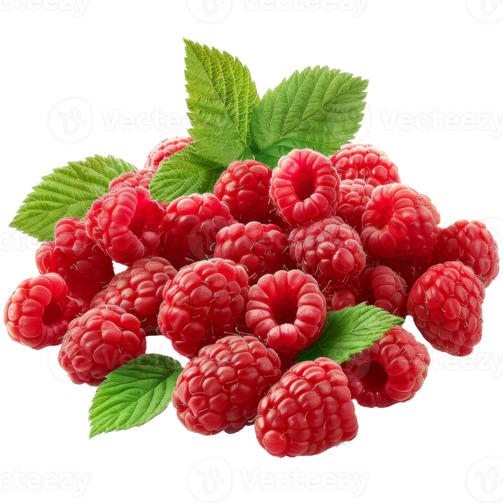 Raspberry isolated on a transparent background png